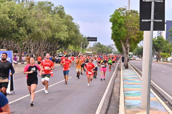 53201901528_7b69459c98_o